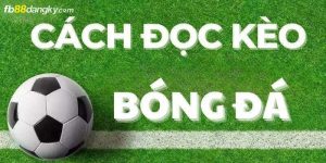 Cách đọc kèo bóng đá chính xác nhất