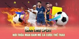 Đánh giá sảnh CMD thể thao