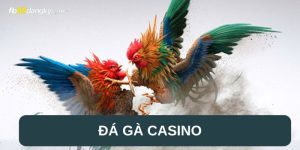 Đá gà Casino