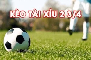 tài xỉu 2 3/4 thumb