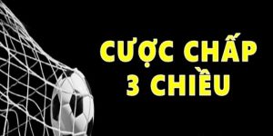 cá cược bóng ném
