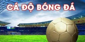kèo chấp 1/4