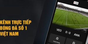 Xem Bóng Đá Trực Tiếp Tại Fb88 - Trọn Vẹn Từng Phút Giây