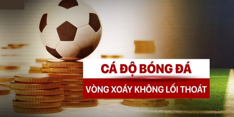 Xác minh “Fb88 cá độ bóng đá có vi phạm pháp luật”