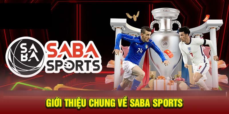 Vài nét khái quát về sảnh SABA thể thao