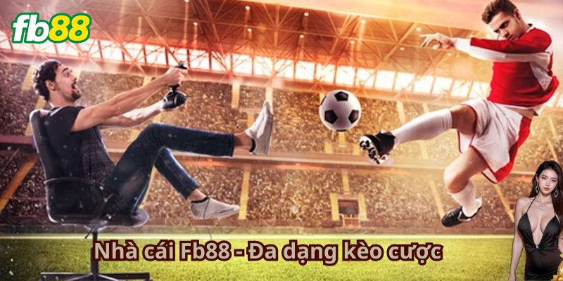 Ưu đãi đậm khi là thành viên Nhà Cái Fb88