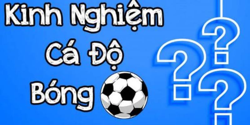 Những sai lầm thường gặp khi tìm hiểu luật chơi cá độ bóng đá