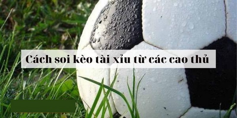 Mẹo soi kèo tài xỉu 