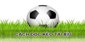 Kèo Tài Xỉu 2-2.5 Là Gì? Bí Kíp Hiệu Quả Từ Chuyên Gia Fb88