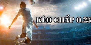 Kèo Chấp 0.25 - Thông Tin Quan Trọng Hội Viên Fb88 Nên Biết