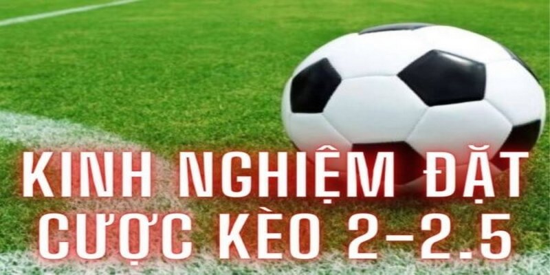 Giải mã bí kíp chơi kèo tài xỉu 2-2.5 là gì? 