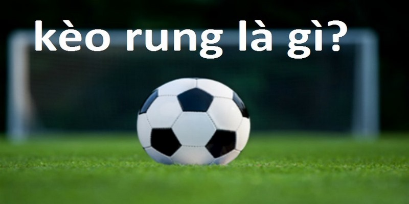 Kinh nghiệm soi kèo rung 