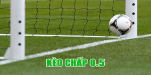 Kinh Nghiệm Bắt Kèo Chấp - 0.5 Hiệu Quả Nên Áp Dụng