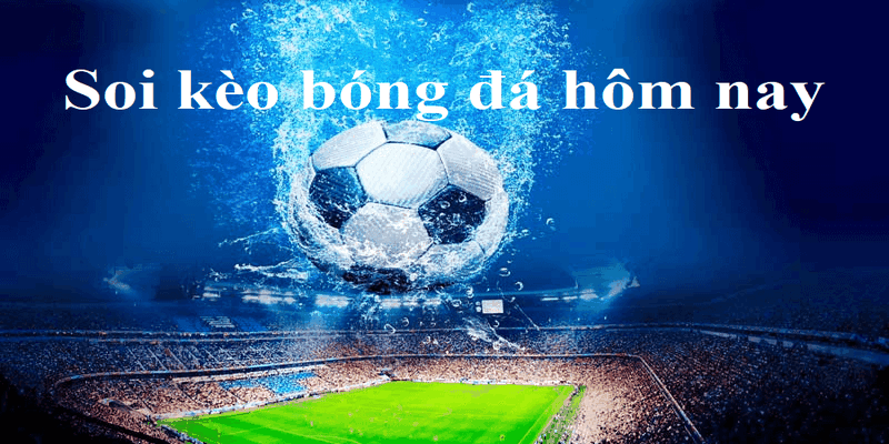 Tỷ lệ kèo nhà cái 5 chuyên nhận định các loại cược nào?