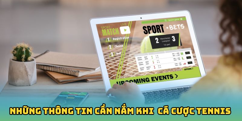 Những thông tin cần nắm khi trải nghiệm cá cược tennis