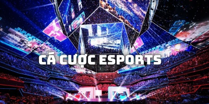 Những lợi thế khi tham gia cá cược eSports