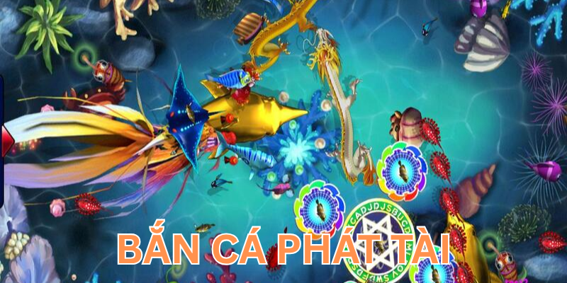 Cách chơi cơ bản