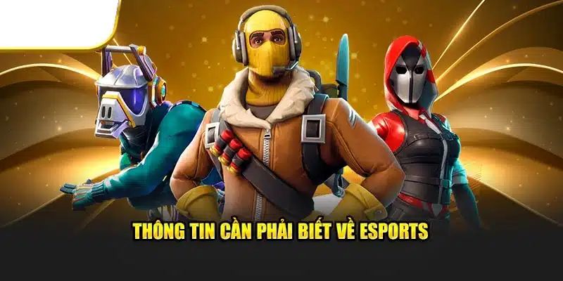 Cá cược eSports 2025: Xu hướng dẫn đầu thời đại số
