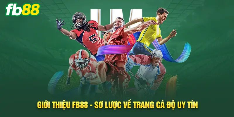 Tổng quan quá trình hình thành & phát triển