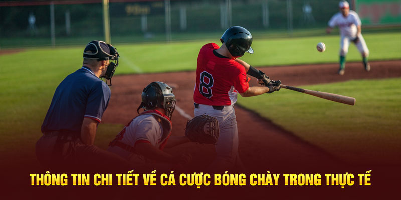 Hiểu đúng về cá cược bóng chày để không thất bại