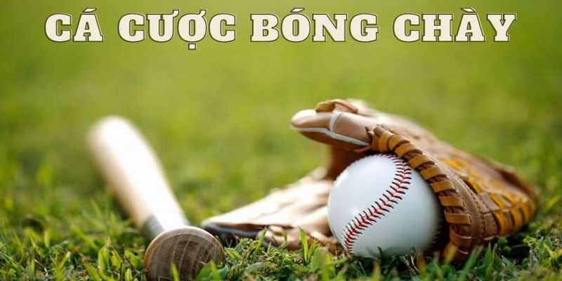 Những hình thức cá cược bóng chày hot hit nhất