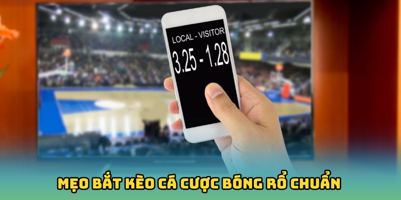 Mẹo bắt kèo cá cược bóng rổ chuẩn từ chuyên gia