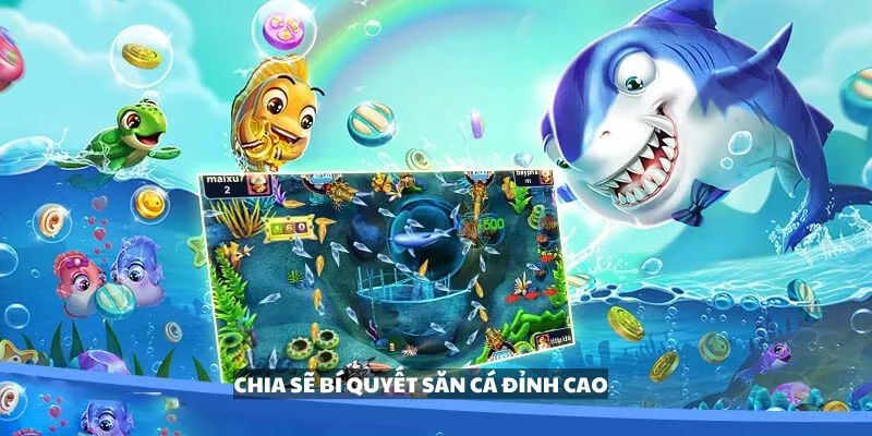 Mẹo sử dụng vốn trong quá trình đặt cược tại nhà cái