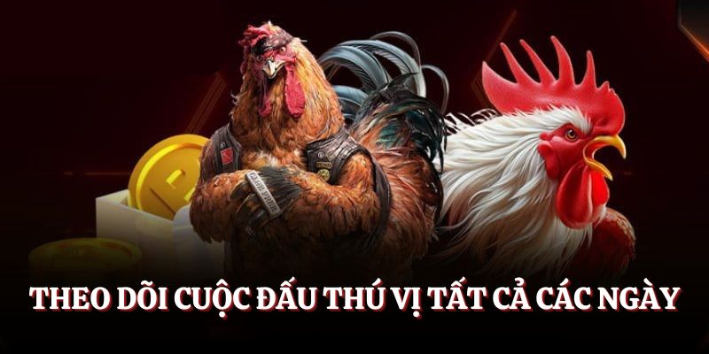 Theo dõi cuộc đấu thú vị tất cả các ngày
