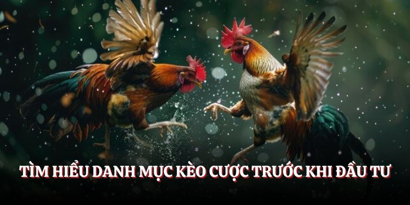 Tìm hiểu danh mục kèo cược trước khi đầu tư