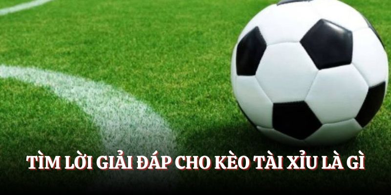 Giải đáp câu hỏi về kèo tài xỉu là gì?