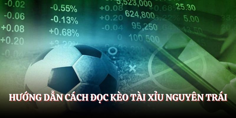 Hướng dẫn cách đọc kèo tài xỉu nguyên trái