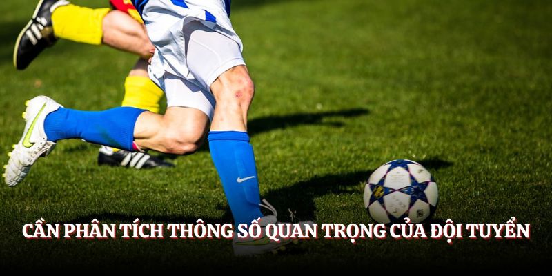 Cần phân tích thông số quan trọng của đội tuyển