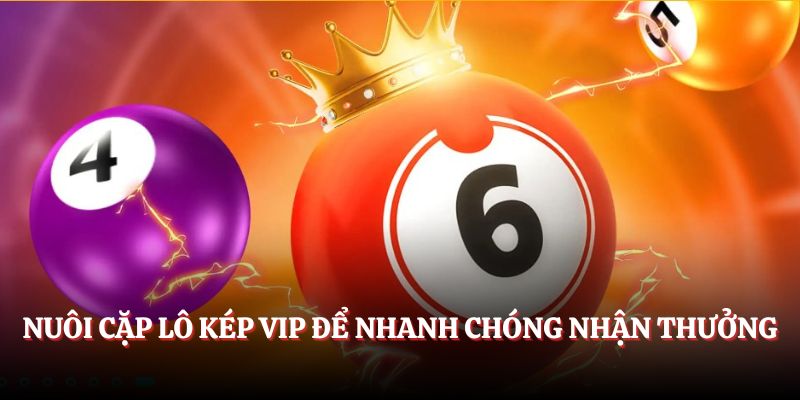                         Nuôi cặp lô kép VIP để nhanh chóng nhận thưởng
