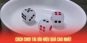 6 Mẹo Chơi Tài Xỉu Chắc Thắng Cho Người Mới Bắt Đầu