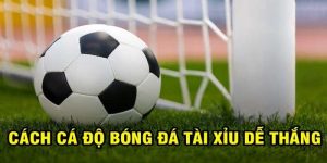 Kinh Nghiệm Bắt Kèo Tài Xỉu Hôm Nay Trúng Đậm