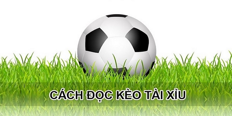 Nguyên tắc dự đoán kèo Tài xỉu hôm nay trúng 99%
