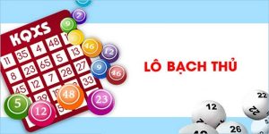 Bạch Thủ Lô: Bật Mí Những Thông Tin Người Chơi Cần Biết