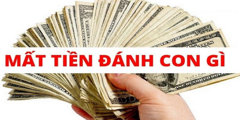 Nằm mơ mất tiền đánh số gì để trúng đậm?