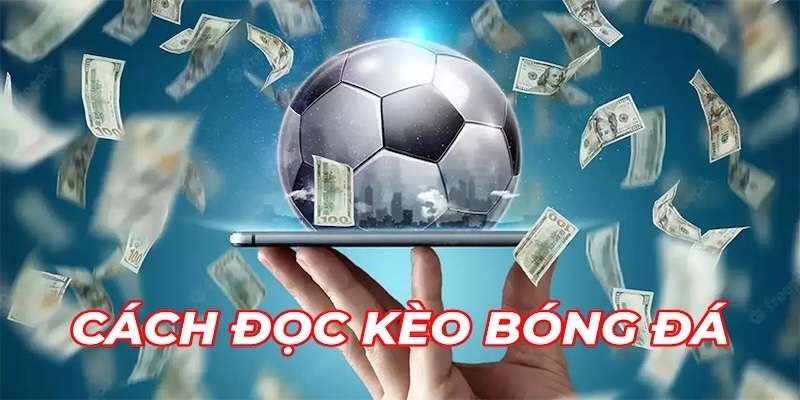 Hướng dẫn cách đọc kèo bóng đá với các loại kèo phổ biến