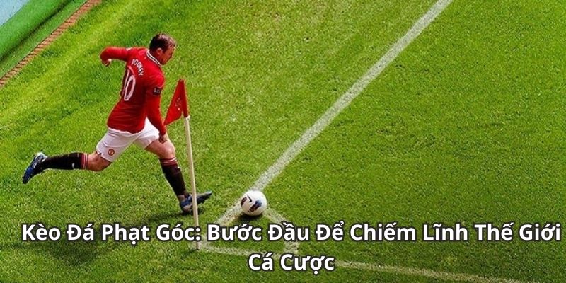 Những hình thức cược phổ biến của kèo phạt góc Fb88