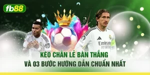 Kèo Chẵn Lẻ Bàn Thắng Và 03 Bước Hướng Dẫn Chuẩn Nhất
