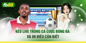 Kèo Live Trong Cá Cược Bóng Đá Và 09 Điều Cần Biết
