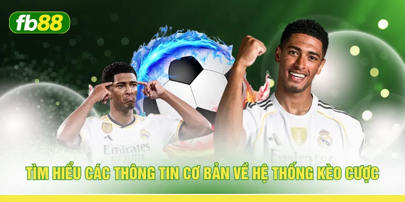 Tìm hiểu các thông tin cơ bản về hệ thống kèo cược