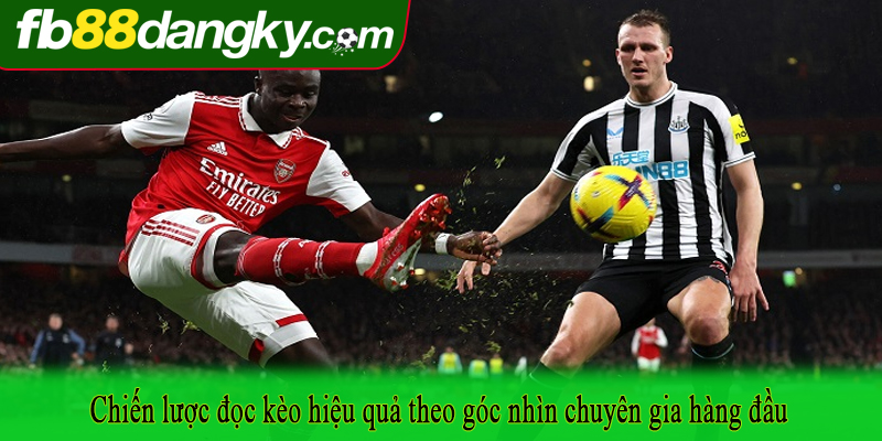 Chiến lược đọc kèo hiệu quả theo góc nhìn chuyên gia hàng đầu
