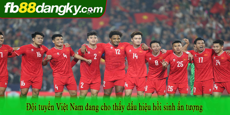 Đội tuyển Việt Nam đang cho thấy dấu hiệu hồi sinh ấn tượng