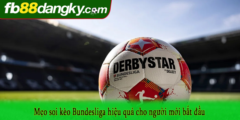 Mẹo soi kèo Bundesliga hiệu quả cho người mới bắt đầu
