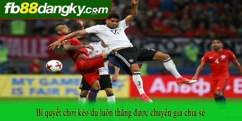 Bí quyết chơi kèo dụ luôn thắng được chuyên gia chia sẻ