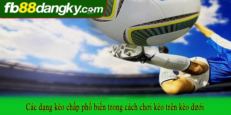 Các dạng kèo chấp phổ biến trong cách chơi kèo trên kèo dưới