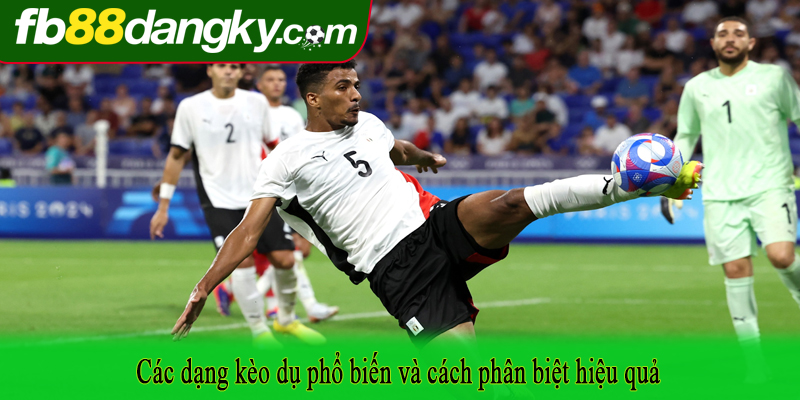 Các dạng kèo dụ phổ biến và cách phân biệt hiệu quả