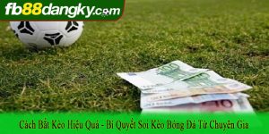 cách bắt kèo hiệu quả